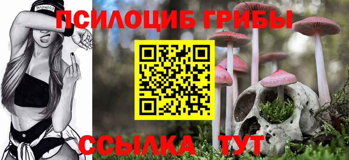 Корсаков  что такое наркотик  Вход с VPN  Псилоцибиновые грибы Cubensis 