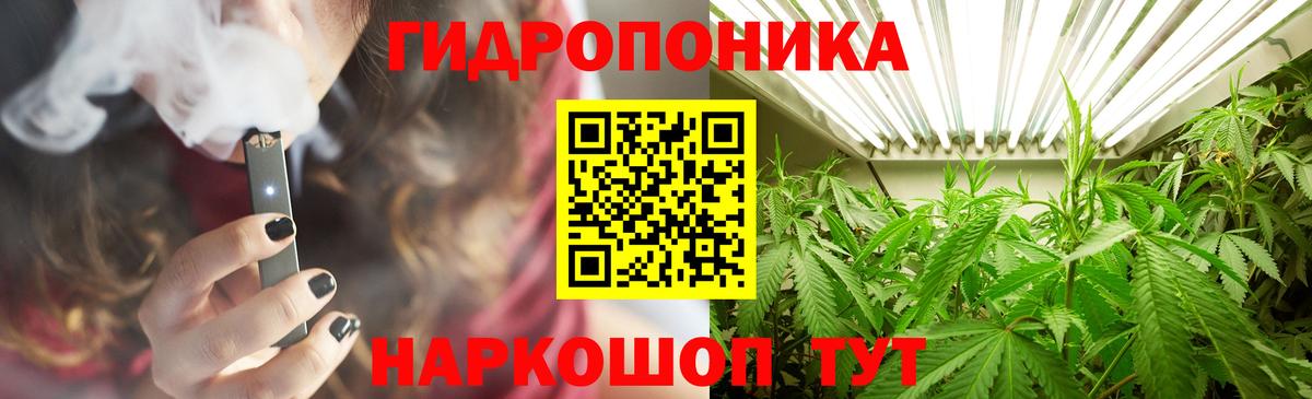 МАРИХУАНА сатива Корсаков